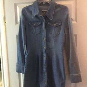 Women’s Fitted Denim Dress/Tunic